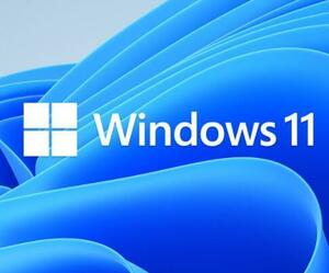 【認証保証】windows 11 pro プロダクトキー 正規 32/64bit サポート付き 新規インストール/HOMEからアップグレード対応