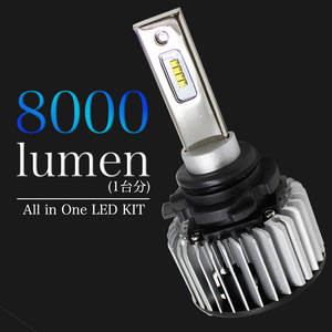 HB4対応 ヘッドライト用LED電球 日産 エルグランド 型式APWE50/ATE50/ATWE50 ロービーム用 左右セット