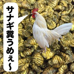 ヤフオク 鶏 餌 エサ の中古品 新品 未使用品一覧 ヤフオク 鶏 餌 エサ の中古品 新品 未使用品一覧