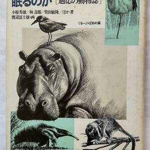 「ツルはなぜ一本足で眠るのか　〔適応の動物誌〕」　　小原秀雄・林　壽郎・柴田敏隆ほか著