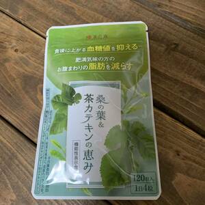 【新品】和漢の森　桑の葉＆茶カテキンの恵み　120粒　カテキン