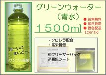 ●送料無料・匿名配送・即日発送● グリーンウォーター　1500ml 【青水 クロレラ 配合 ゾウリムシ タマミジンコ めだか 針子 稚魚 金魚 】_画像1