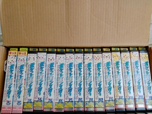 VHS ビデオ ポケットモンスター アドバンスジェネレーション 2005 全15巻セット