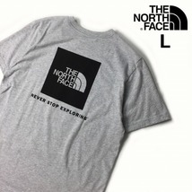 1円～!売切!【正規新品】THE NORTH FACE◆SHORT SLEEVE BOX NSE TEE 半袖 Tシャツ US限定 ボックスロゴ キャンプ 登山(L)グレー 180902-13_画像2