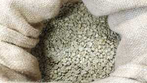 コーヒー生豆100g×8袋(ブラジル,コロンビア,グアテマラ,タンザニア)