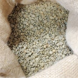 コーヒー生豆100g×3袋(ブラジル,コロンビア,グアテマラ各100g)