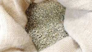 コーヒー生豆100g×3袋(ブラジル,コロンビア,グアテマラ各100g)