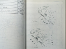 中古本 HONDA Ascot Rafaga サービスマニュアル 配線図集 E-CE4 CE5 95-9 ホンダ アスコット ラファーガ_画像6
