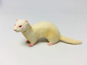 フェレット　ペット　フィギュア　日本　生き物　生物　動物　ミニチュア　22b1