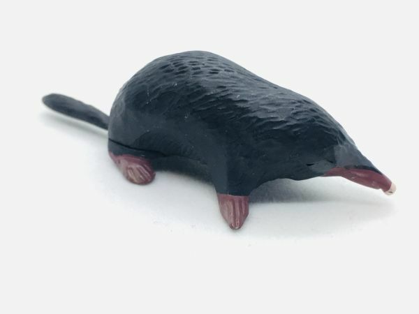 ヒミズ　モグラ　フィギュア　日本　生き物　生物　動物　ミニチュア　22b31