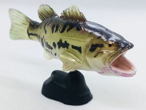 バス　ブラックバス　魚類　海　魚　川　フィギュア　日本　生き物　生物　動物　ミニチュア　22b65