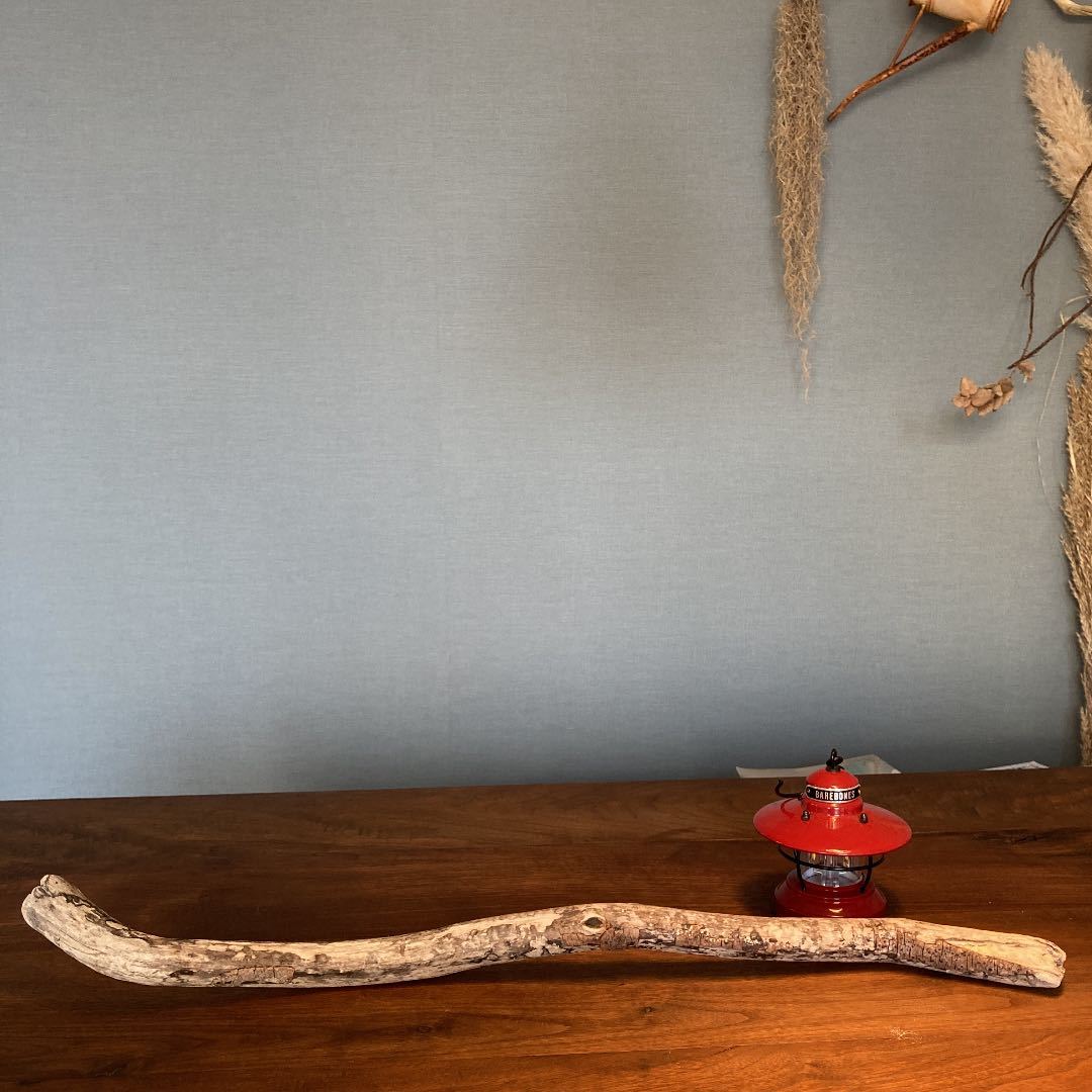 12. Thick driftwood with tree bark…natural product, interior, creation, handmade works, interior, miscellaneous goods, ornament, object