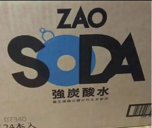 【送料無料】炭酸水 500ml 24本 送料無料 強炭酸 無糖 ZAO SODA プレーン ライフドリンクカンパニー LDC