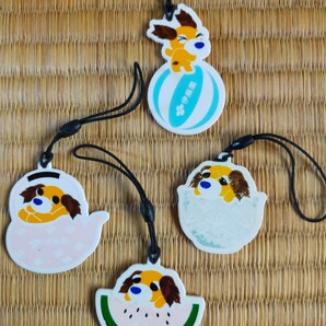 キーホルダー お茶犬