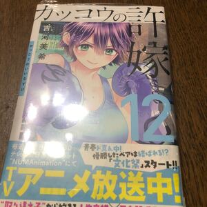カッコウの許嫁 12