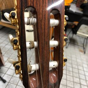 最終価格 かなりお勧め 最終価格 本場スペイン産レイモンド118C クラシックギター