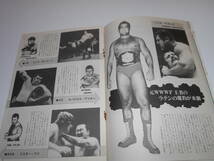 パンフレット 全日本プロレス 1974　マジソンスクウェアガーデンシリーズ　ジャンボ鶴田 デストロイヤー　ペドロ　モラレス　ゴリラ_画像5