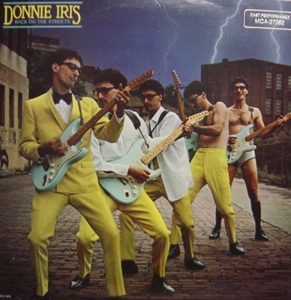 ☆彡DONNIE IRIS/BACK ON THE STREETS'1980USA MCA