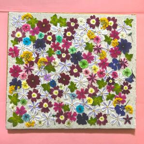 押し花素材 小花セット