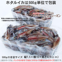 【3月下旬～予約順に出荷】ホタルイカ 2022年新物 6㎏【500ｇ× 12パック(約960匹)】【冷凍】鳥取県産ほたるいか蛍烏賊Ａ級12P_画像2