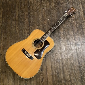 Jagard JD-350 Acoustic Guitar アコースティックギター 寺田楽器 現状品 -GrunSound-x572-