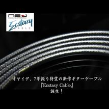 【新製品】 Oyaide Ecstasy Cable 「L/S4m」［新品］_画像2