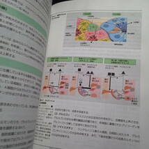 栄養科学シリーズNEXT 栄養解剖生理学　　_画像8