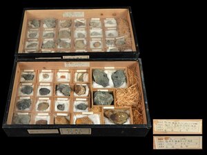 【雲】某有名コレクター買取品 化石標本 大量まとめて 総重量約3.64kg箱込 古美術品(鉱石鉱物アンモナイト紀元前旧家蔵出)A856 LToqm9aa