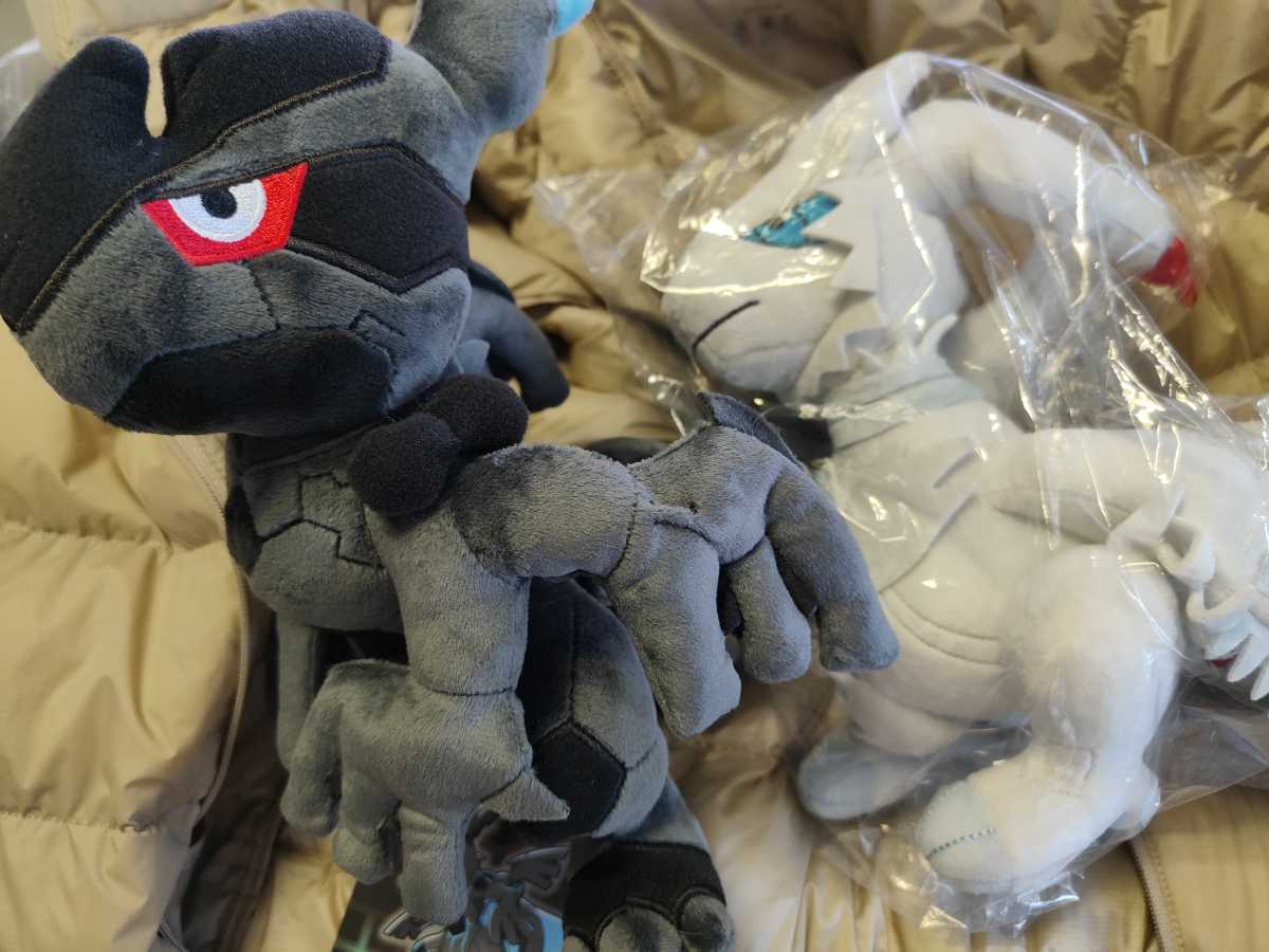 ヤフオク! -「レシラム ゼクロム」(ぬいぐるみ) の落札相場・落札価格