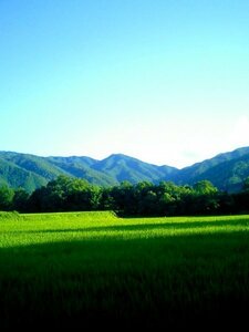 令和３年　無肥料栽培コシヒカリ約１ｋｇ　新米　山口県産阿東米　山奥のぽつん米