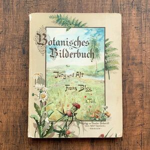 ドイツの古い植物図鑑(Botanisches Bilderbuch 1 1897年)/アンティーク ヴィンテージ ヨーロッパ 植物画 花 ボタニカルアート 雰囲気◎/