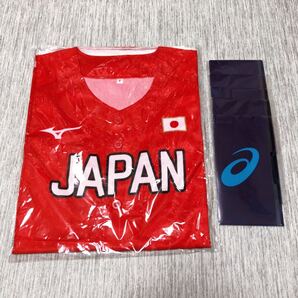 日本代表ソフトボール ユニホーム アシックス ミニファイル