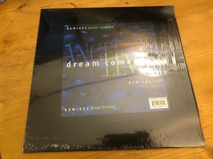 12”★Angela Lewis / Dream Come True / Brian Bristol / Junior Vasquez / Hani / ヴォーカル・ハウス！