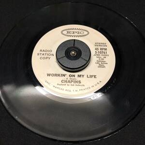 中古シングルレコード Chapins Workin' On My Life US盤 5-10761 Promo プロモ 白ラベル