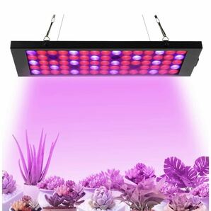 植物成長ライト LED植物成長ライト40W LED電球苗ライトジューシー