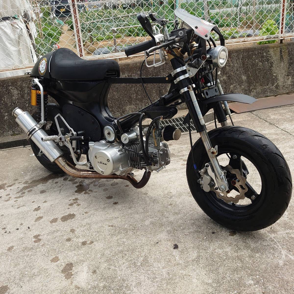 2023年最新】ヤフオク! -スーパーカブカスタム50(ホンダ)の中古品