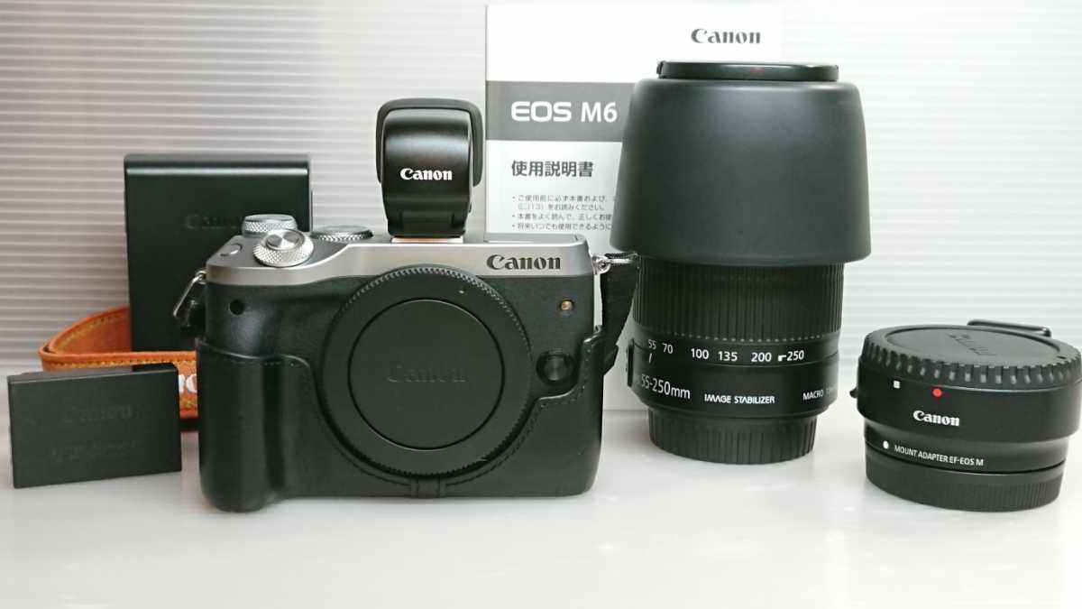 送料無料（沖縄配送） Canon EOS M6 EF-M15-45mm EVF-DC1付 付属品多数 通販