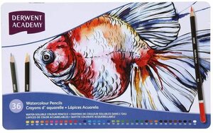 ダーウェント アカデミー 水彩 色鉛筆 ウォーターカラーペンシル メタルケース 36色セット 2300226