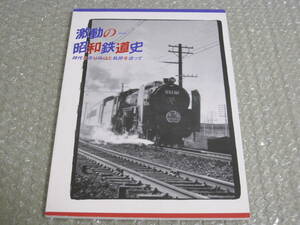 激動の昭和鉄道史 図録◆国鉄 常磐線 特急 はつかり ひたち 急行 ときわ 蒸気機関車 気動車 電車・JR東日本 水戸 郷土史 歴史 写真 資料 