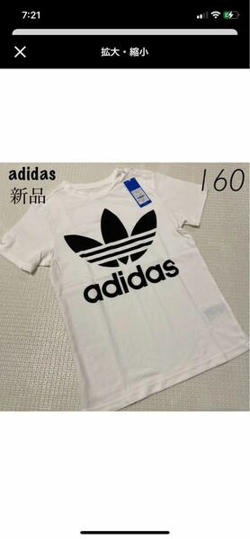 アディダス 新品 トレフォイル Tシャツ 160 DV2904 ホワイト