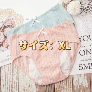 数量限定 ニット風 ポケット付 コットンサニタリーショーツ 2枚セット XLサイズ