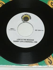 視聴あり / Sammy Levi & Marshall One - Love Is The Message / Eclipse Records / Dancehall Classic / レゲエ ７インチ レコード