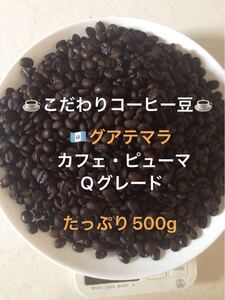 こだわりコーヒー豆 グアテマラSHB カフェ・ピューマ 500g 中深煎り 自家焙煎珈琲 Qグレード スペシャルティコーヒー