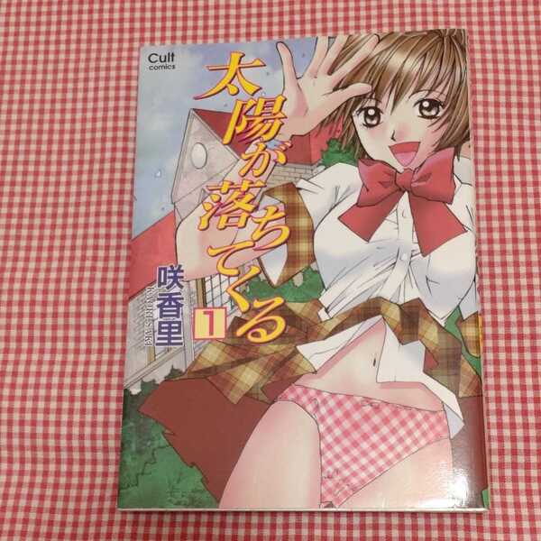 【送料無料】【美品】太陽が落ちてくる 1巻 咲香里 笠倉出版社