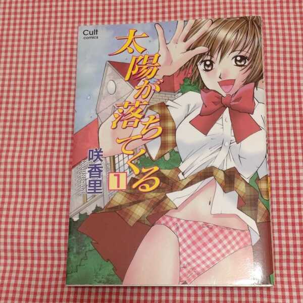 【送料無料】【美品】太陽が落ちてくる １巻 咲香里 笠倉出版社