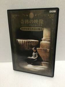 即決！ DVD セル版 奇跡の映像 よみがえる100年前の世界 かげりゆく共存の輝き 送料無料！