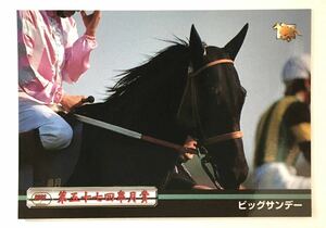 ビッグサンデー 077 皐月賞 エラーカード バンダイ サラブレッドカード 97年 競馬 競馬カード 美品 ウマ娘