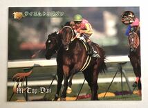 テイエムトップダン 057 毎日杯 バンダイ サラブレッドカード 97年 競馬 競馬カード 美品 ウマ娘_画像1