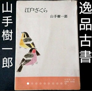 逸品古書 「 江戸ざくら 」 著者 山手樹一郎 昭和34年1959年発行 桃源社