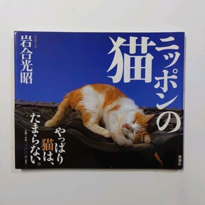  Nippon. кошка фотография . документ : скала . свет . Hokkaido небо . остров Okinawa бамбук . остров Shinchosha 12 версия 2006 год < Yu-Mail >